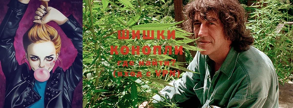 гидра Белоозёрский