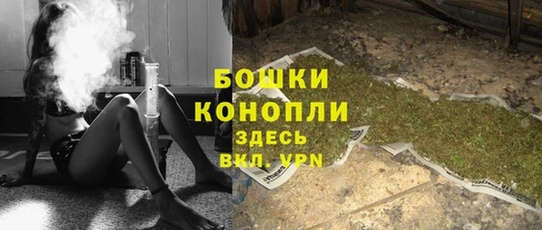 гидра Белоозёрский