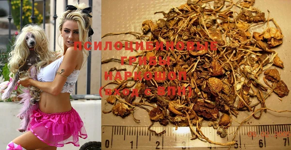 МДПВ Балахна