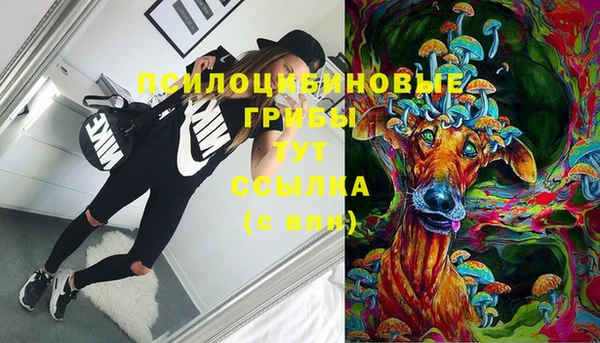 МДПВ Балахна