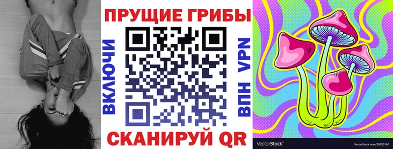 Галлюциногенные грибы мицелий  кракен ссылки  Дубна 